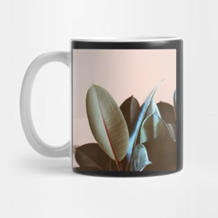 Ficus Elastica #1 Mug